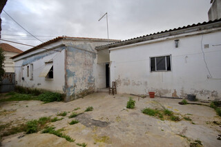1000019137_img_6566.jpg