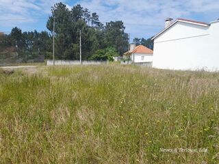 -57501555_7CEEvSh14muY5WqAA9tH.jpg