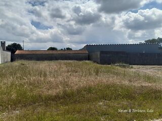 -57501555_nMN1mP8BBOGYV2IeMqPH.jpg