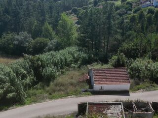 -211386742_ID3deb7f01-0000-0500-0000-0000139af9ba.jpg