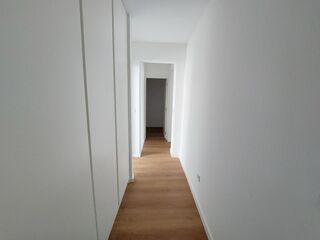 -213375179_ID1f88a101-0000-0500-0000-0000160af4b6.jpg