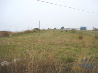 -200260145_ID7cedb900-0000-0500-0000-000006735caf.jpg