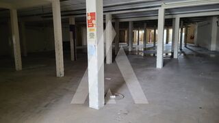 -197648663_IDa9a87900-0000-0500-0000-000012d68aae.jpg