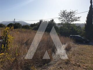 -204722604_ID4c9dff00-0000-0500-0000-00000a1ad764.jpg