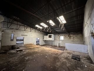 -210246243_IDf6a26801-0000-0500-0000-00001110cfc1.jpg