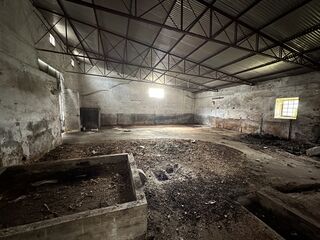 -210246243_IDf6a26801-0000-0500-0000-00001110cfc2.jpg