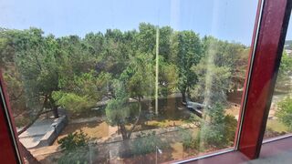-210621129_ID9a9a6e01-0000-0500-0000-000011a09d0f.jpg