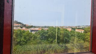 -210621129_ID9a9a6e01-0000-0500-0000-000011a09d11.jpg