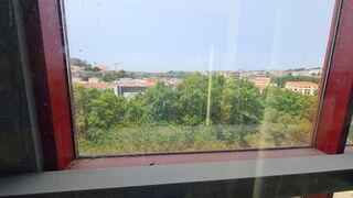 -210621129_ID9a9a6e01-0000-0500-0000-000011a09d12.jpg
