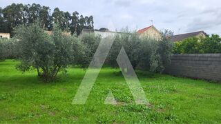 -210819653_IDcc7c7401-0000-0500-0000-0000123627c6.jpg