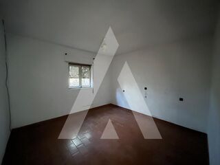 -211495706_ID4d7b8101-0000-0500-0000-000013b79316.jpg