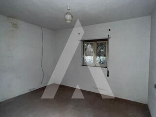 -211495706_ID4d7b8101-0000-0500-0000-000013b79317.jpg