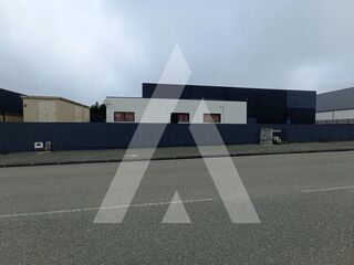 -211549572_ID53328301-0000-0500-0000-000013e3d9c1.jpg