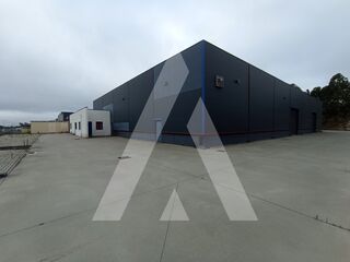 -211549572_ID53328301-0000-0500-0000-000013e3d9c6.jpg
