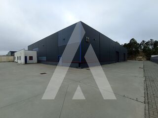 -211549572_ID53328301-0000-0500-0000-000013e3d9c8.jpg