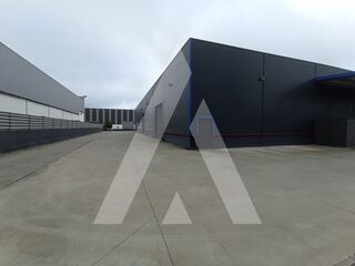 -211549572_ID53328301-0000-0500-0000-000013e3d9cb.jpg