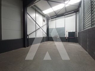 -211549572_ID53328301-0000-0500-0000-000013e3d9d5.jpg