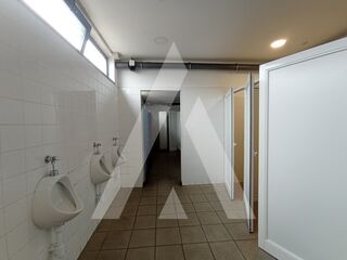 -211549572_ID53328301-0000-0500-0000-000013e3d9db.jpg