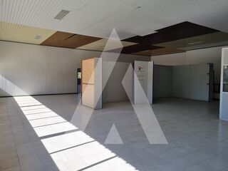 -211558610_ID21618301-0000-0500-0000-000013ea2a08.jpg