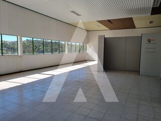 -211558610_ID21618301-0000-0500-0000-000013ea2a09.jpg