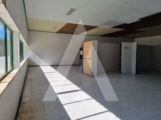 -211558610_ID21618301-0000-0500-0000-000013ea2a0a.jpg