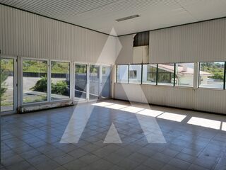 -211558610_ID21618301-0000-0500-0000-000013ea2a0b.jpg