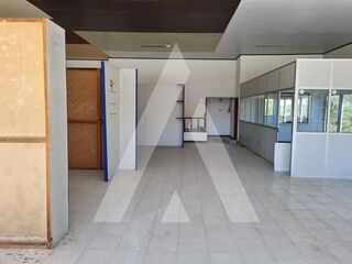 -211558610_ID21618301-0000-0500-0000-000013ea2a0e.jpg