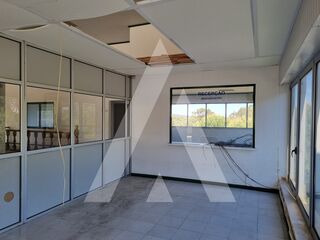 -211558610_ID21618301-0000-0500-0000-000013ea2a11.jpg