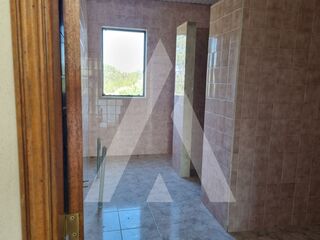 -211558610_ID21618301-0000-0500-0000-000013ea2a2f.jpg