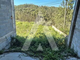 -211558610_ID21618301-0000-0500-0000-000013ea2a61.jpg