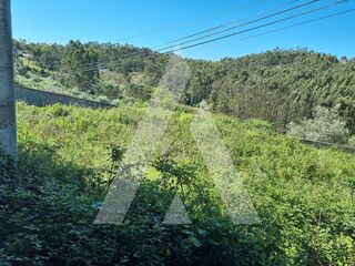 -211558610_ID21618301-0000-0500-0000-000013ea2a63.jpg