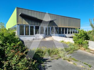 -211558610_ID21618301-0000-0500-0000-000013ea2a6b.jpg