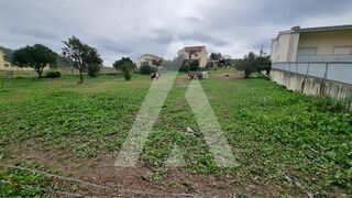 -211679998_IDecce8501-0000-0500-0000-00001428f22e.jpg