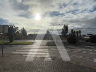 -212153874_IDeba58d01-0000-0500-0000-0000149661fc.jpg