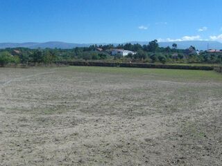 -203070417_ID90fabb00-0000-0500-0000-000008b6138c.jpg