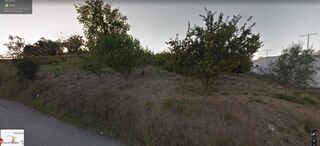 -209808709_IDeae35d01-0000-0500-0000-000010265d67.jpg