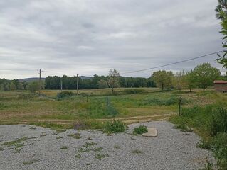 -212976677_IDd8b89a01-0000-0500-0000-00001584b87d.jpg