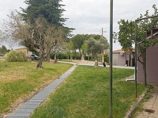-212976677_IDd8b89a01-0000-0500-0000-00001584b881.jpg