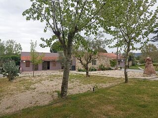 -212976677_IDd8b89a01-0000-0500-0000-00001584bc0c.jpg