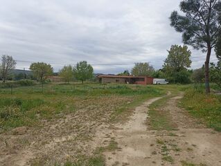 -212976677_IDd8b89a01-0000-0500-0000-00001584bc0f.jpg