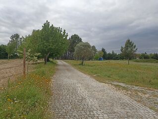 -212976677_IDd8b89a01-0000-0500-0000-00001584be83.jpg