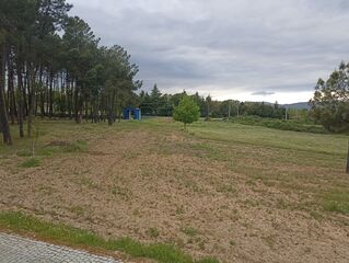 -212976677_IDd8b89a01-0000-0500-0000-00001584be9b.jpg