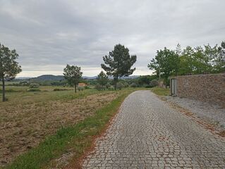 -212976677_IDd8b89a01-0000-0500-0000-00001584be9f.jpg