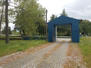 -212976677_IDd8b89a01-0000-0500-0000-00001584bea3.jpg