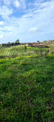-33059445_1920x4266_920.webp