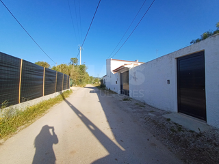 -33060968_wm-31ea9db167-4dcaa63987.webp