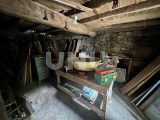 -211452730_IDad338101-0000-0500-0000-000013a25f47.jpg