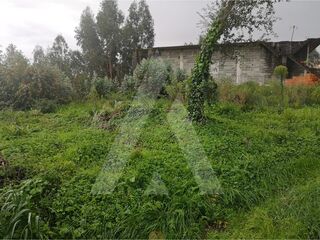 -208031314_ID358e3801-0000-0500-0000-00000daedb61.jpg