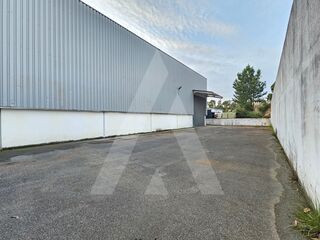 -211614120_ID209a8401-0000-0500-0000-0000141004b1.jpg