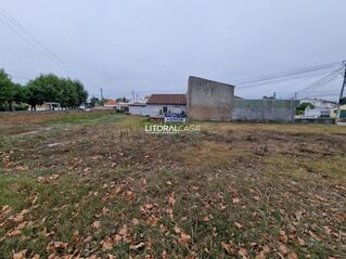 -706145797_lyq079grmdagjl58.jpg